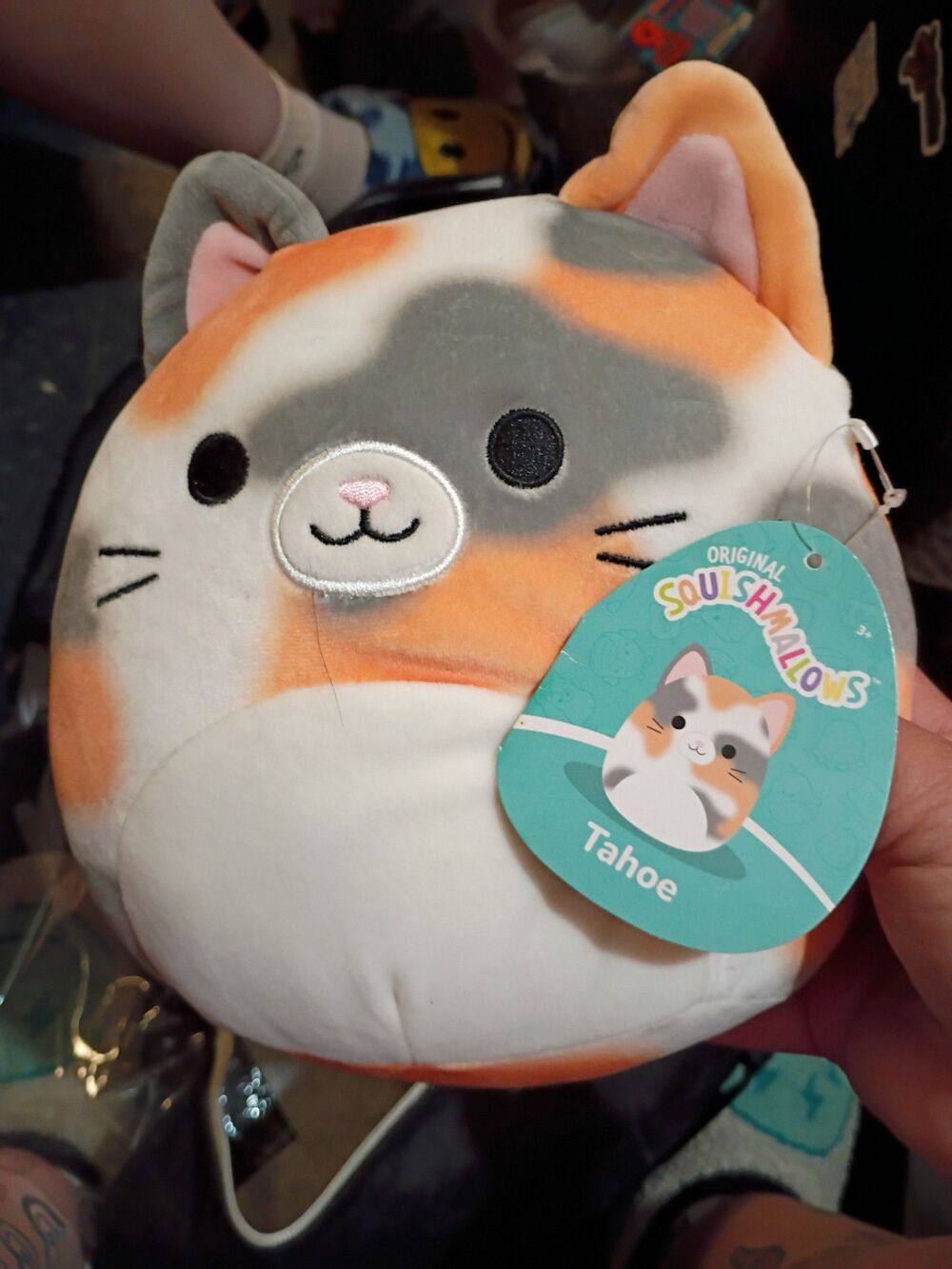 Squishmallow Tahoe cat-055f